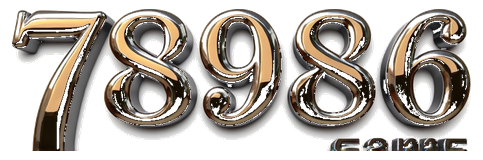 78986 game logo